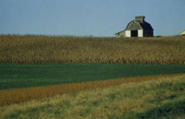 iowa Internet Gambling