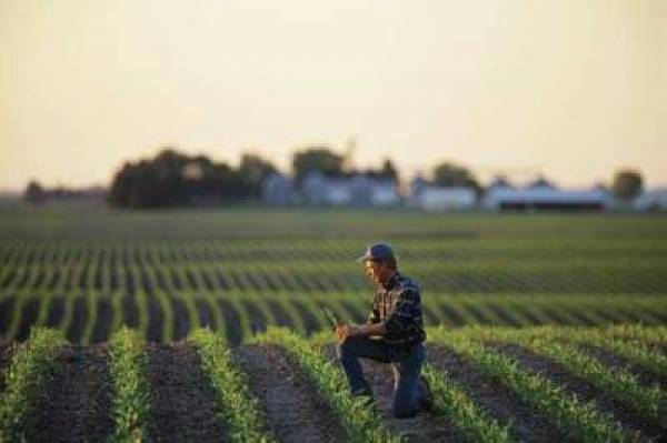 Iowa Iowa