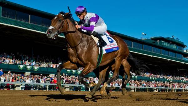 What Will the Payout Be if Irap Wins 2017 Kentucky Derby