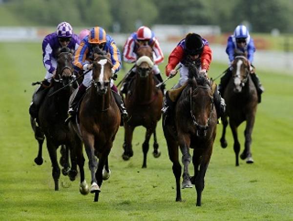 Irish Derby 2011 Betting Odds