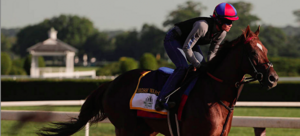 Why Irish War Cry Can Win the Belmont Stakes – Pros and Cons - Latest Odds 