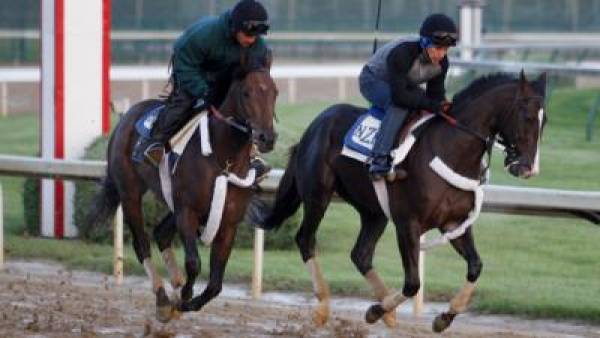 Jackson Bend Preakness Stakes Odds