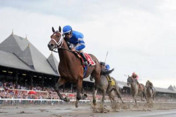 Jim Dandy Stakes 2013 Weather Forecast Calls for Clear Skies and Hot