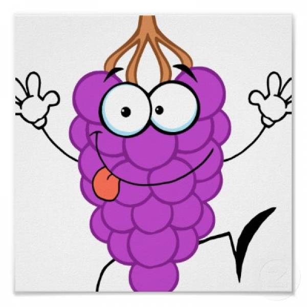 Poker Pro Joe Sebok Now Cultivating Grapes Poker Pro Joe Sebok Now Cultivating Grapes