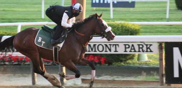 What Will Jungle Runner Pay Out to Win the Belmont Stakes 