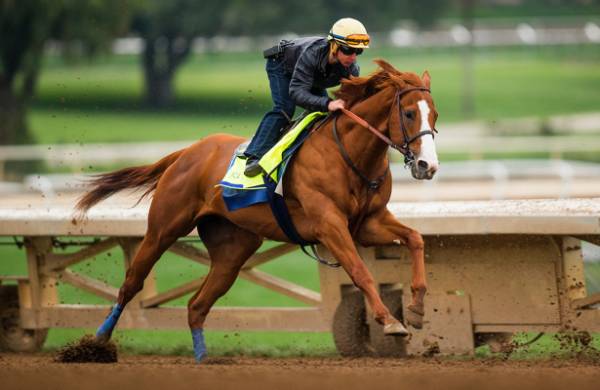 Odds on Justify Winning This Year's Kentucky Derby 