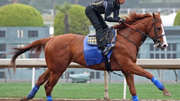 Justify Odds to Win the 2018 Kentucky Derby - 3 to 1