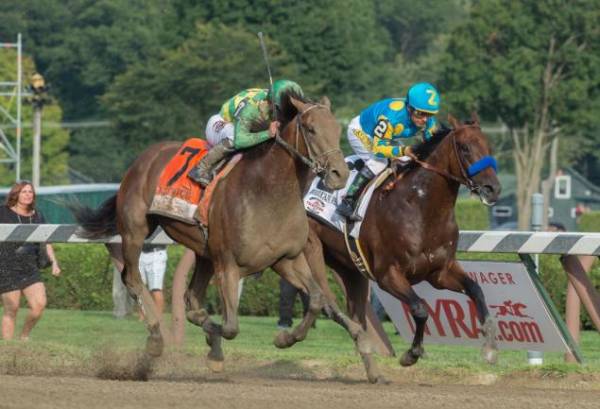Payout Odds on Keen Ice to Win the 2015 Breeders Cup Classic Payout Odds on Keen Ice to Win the 2015 Breeders Cup Classic