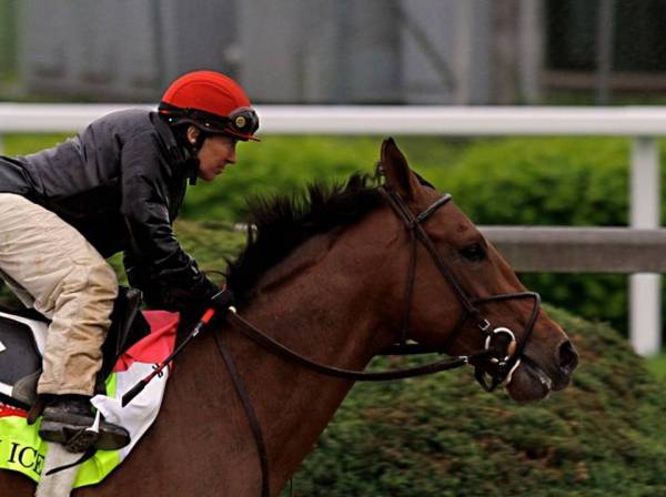 Kentucky Derby 2015 Contenders – Keen Ice – Latest Odds