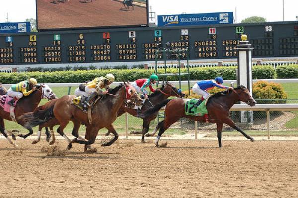 2015 Kentucky Derby Betting Odds: To Finish 1st, 2nd in Exact Order - Exactas