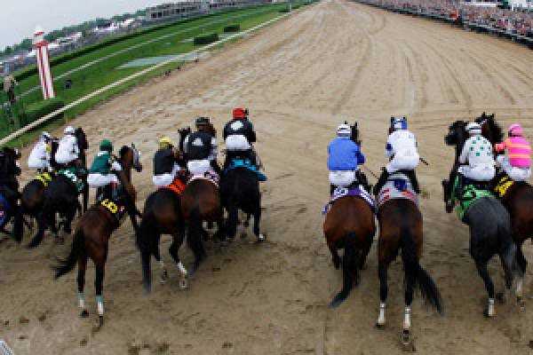 Betting on Horses Online