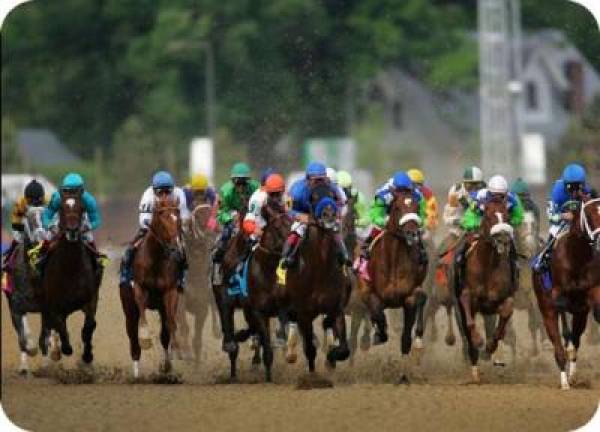 Kentucky Derby 2010 Contenders