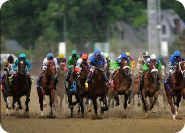 2010 Kentucky Derby Lines 2010 Kentucky Derby Lines
