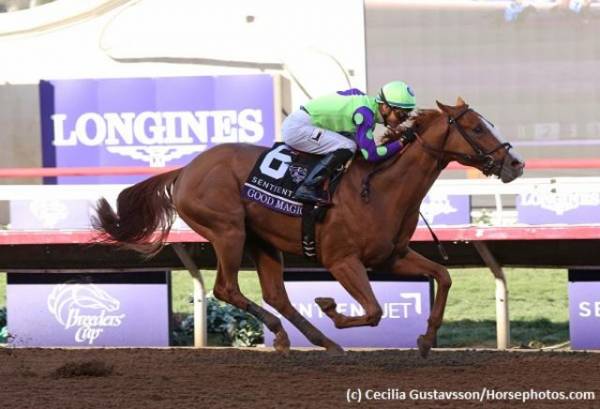 Good Magic Kentucky Derby Payout Odds 