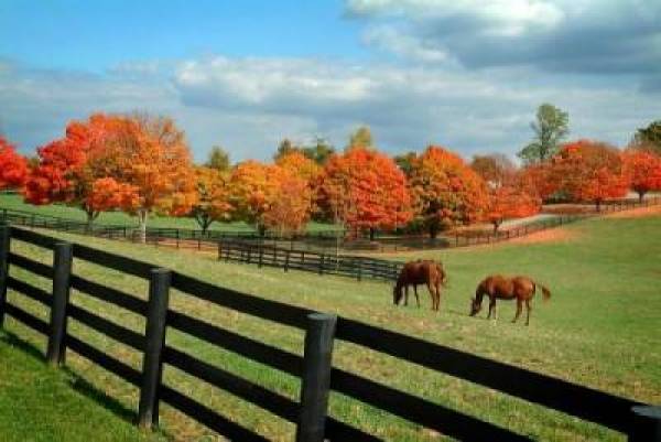 Kentucky Kentucky
