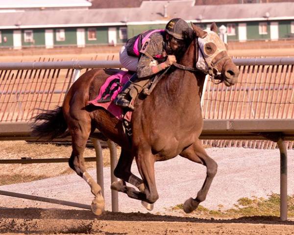 Kid Cruz Odds to Win the Preakness Stakes: He’s Fast but Hasn’t Won a Graded Rac