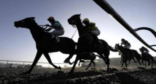 Lastroseofsummer Lingfield Lastroseofsummer Lingfield