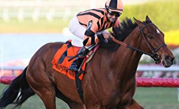 Little Mike Wins Arlington Million at 4 to 1 Odds Little Mike Wins Arlington Million at 4 to 1 Odds