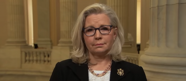 How Much Will Liz Cheney Pay Out If She Wins Her Primary?