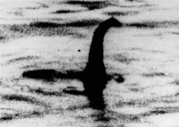 Loch Ness Monster Museum Bookie Loch Ness Monster Museum Bookie
