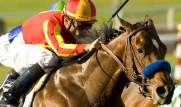 Lookin At Lucky Wins Preakness Stakes