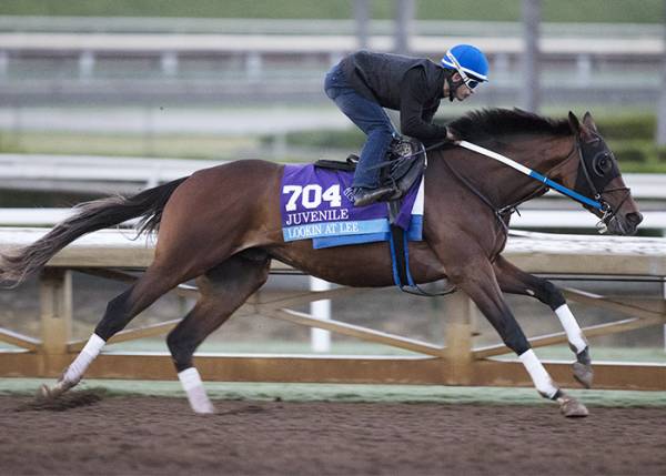 What Will the Payout Be If Lookin At Lee Wins the Preakness Stakes?