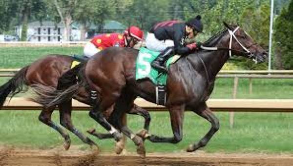 What Will the Payout Be if Lookin At Lee Wins the 2017 Kentucky Derby?