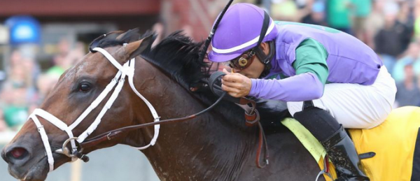 Magnum Moon Post Position Chances of Winning the Kentucky Derby