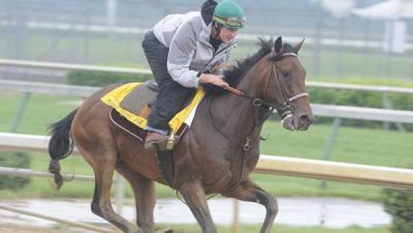Make Me Music Kentucky Derby Odds Make Me Music Kentucky Derby Odds