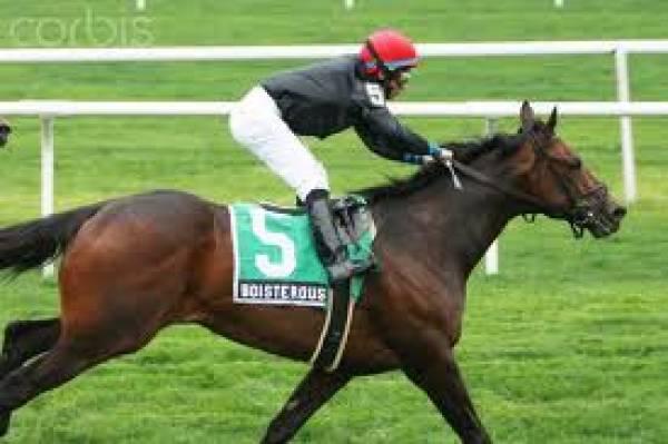 Man O War Stakes 2013 Betting Odds