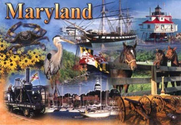 Sports Betting Software in Maryland