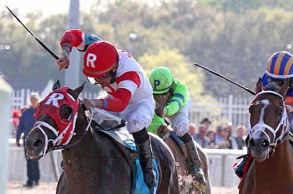 Can Materiality Beat American Pharoah in the Belmont Stakes: Odds at 5-1 Can Materiality Beat American Pharoah in the Belmont Stakes: Odds at 5-1