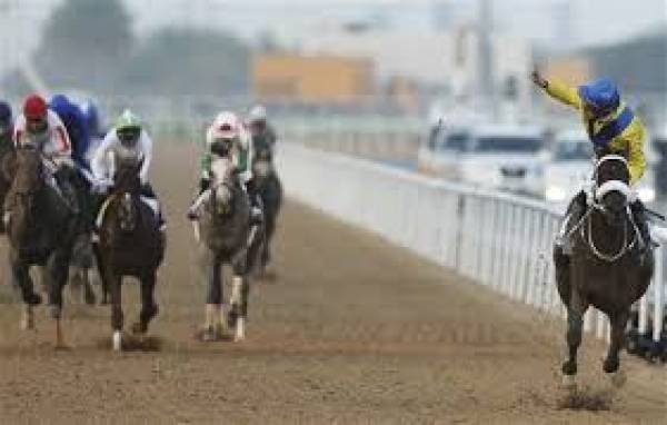 2015 Belmont Stakes Odds to Win Second to American Pharoah, Exacta