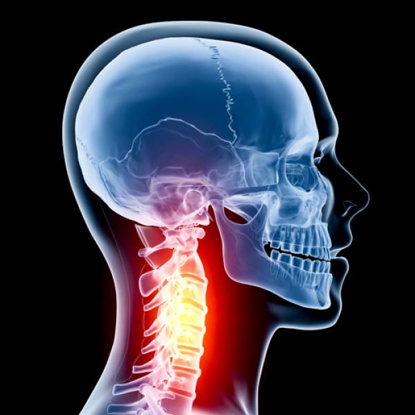 Poker Icon Matt Savage Paralysis Scare: Nearly Crippled by Waterslide Head Injury Poker Icon Matt Savage Paralysis Scare: Nearly Crippled by Waterslide Head Inju