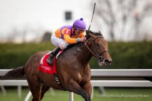 Medal Count Kentucky Derby Odds:  A ‘Turf’ Horse Running on Dirt