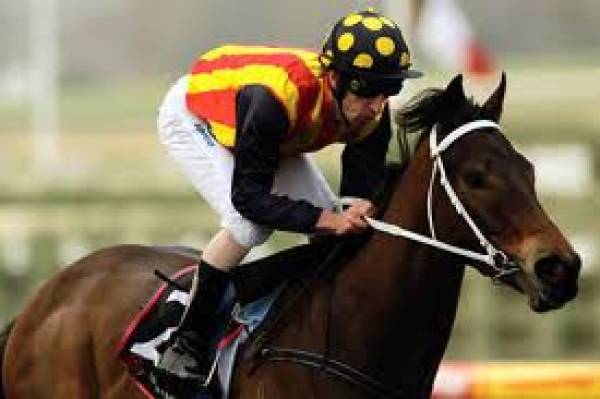 Melbourne Cup Day Melbourne Cup Day