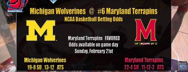 Michigan vs. Maryland Betting Prediction – February 21 