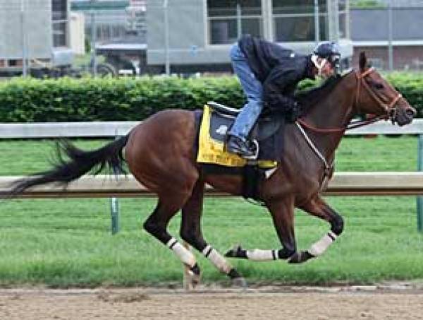 2009 Belmont Stakes Betting Odds