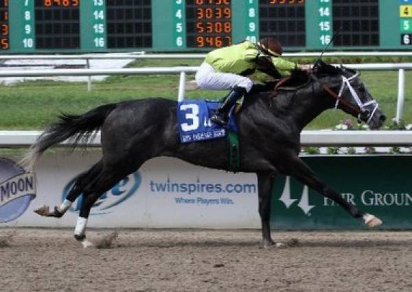 New Orleans Handicap 2012 Betting Odds to Win – Fair Grounds Race 8 New Orleans Handicap 2012 Betting Odds to Win – Fair Grounds Race 8
