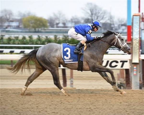 2016 Florida Derby Betting Odds: Mohaymen vs. Nyquist