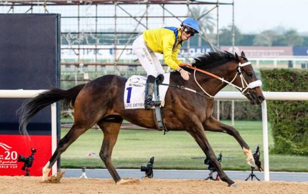 Mubtaahij Odds to Win the 2017 Breeders Cup Classic 