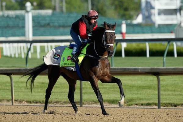 Kentucky Derby 2015 Contenders – Mubtaahij – Latest Odds Kentucky Derby 2015 Contenders – Mubtaahij – Latest Odds