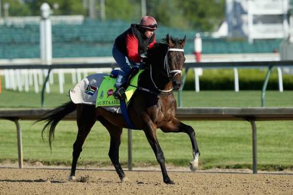 Kentucky Derby 2015 Contenders – Mubtaahij – Latest Odds