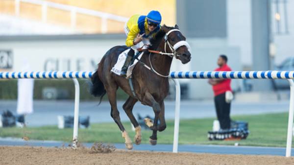 Odds to Win the 2015 Kentucky Derby: Mubtaahij 