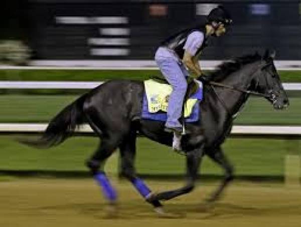 Mylute Odds to Win the 2013 Kentucky Derby Still Good at 13-1