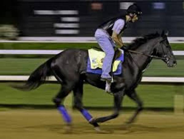 Mylute Odds to Win the 2013 Kentucky Derby Still Good at 13-1 Mylute Odds to Win the 2013 Kentucky Derby Still Good at 13-1