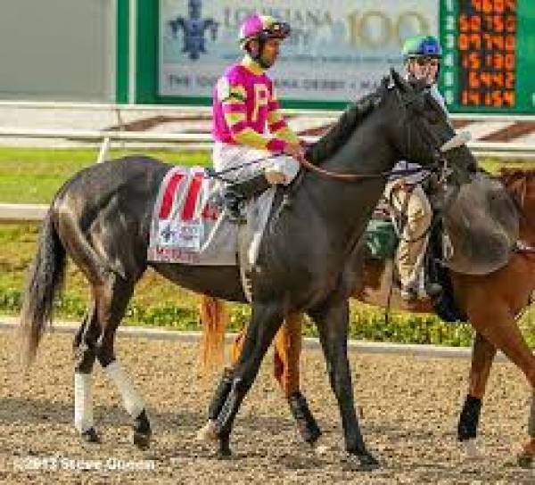 Mylute Preakness Odds Mylute Preakness Odds