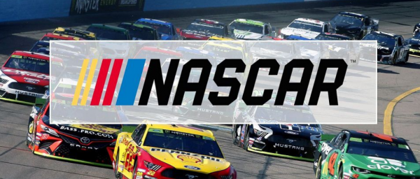 NASCAR Betting – GEICO 500 Odds