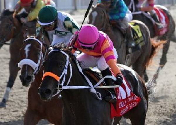 Nehro Odds to Win Belmont Stakes Race