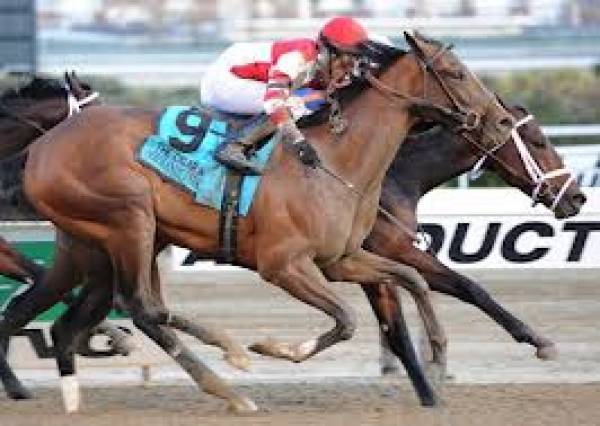 Normandy Invasion Odds to Win the Kentucky Derby at 10-1 Normandy Invasion Odds to Win the Kentucky Derby at 10-1